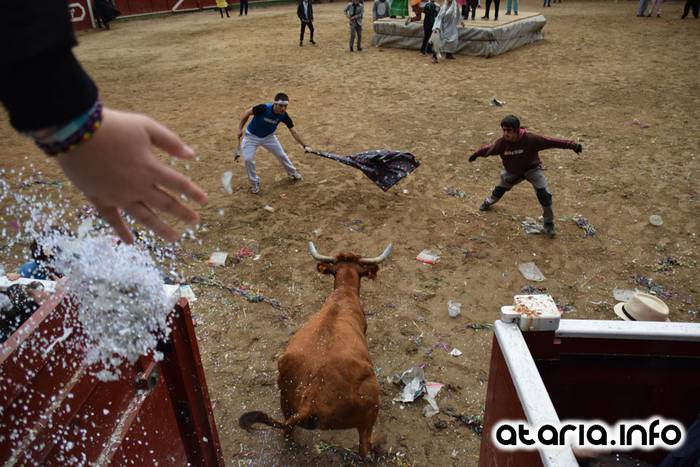 Pattar zezena 2016 60 1455012405942