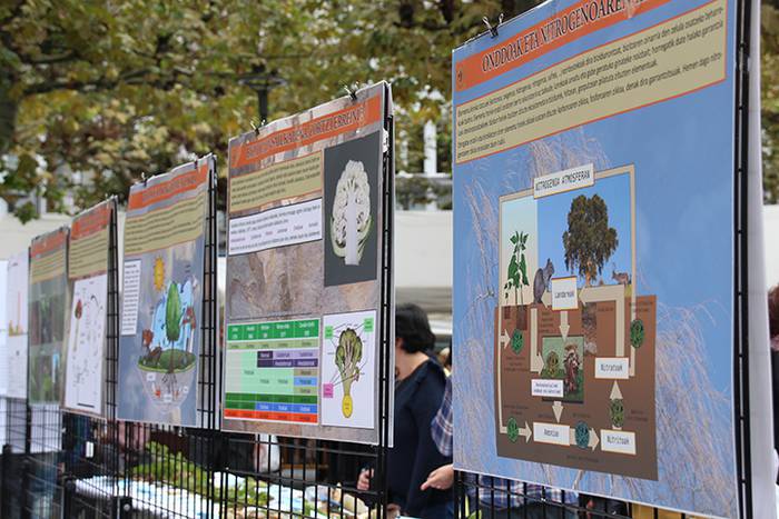 AZOKA MIKOLOGIKOA 2017 30 1508591677197