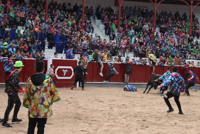 Inauteriak 2020, zezenak Ost 35 1582222558893