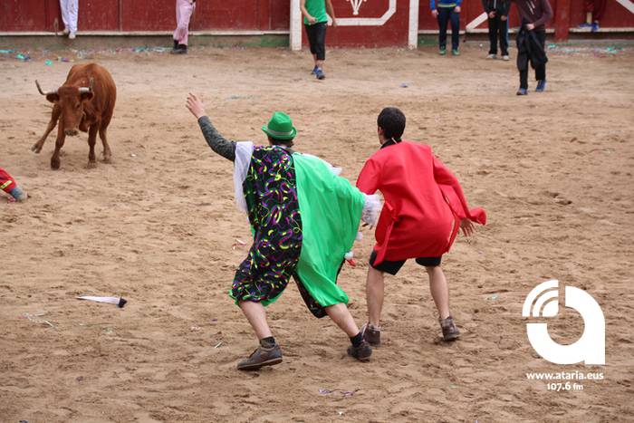 Zezenak adarrak okerrak ditu 107 1488277781257