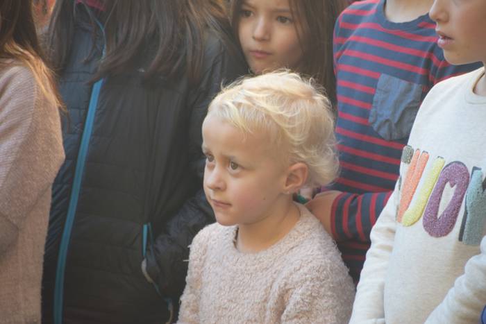 Amarotzeko kontsulta, 2017 48 1485603830053