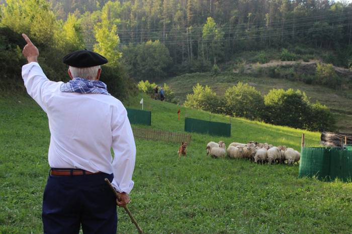 Artzaina eta txakurraren artea Amezketan 30 1472322497897