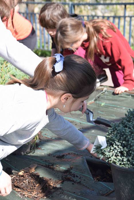 Zuhaitz Eguna ospatzen ari d 8 1553854239650