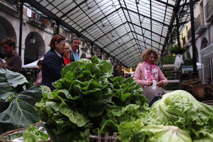 Eta liliek Tolosa ere amets 40 1495290436622