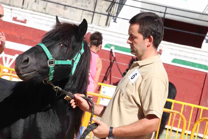 pottoka topaketa tolosa 6 1537627060674