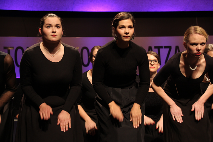 Ahots europarrak, lehiaketak 12 1509654612211