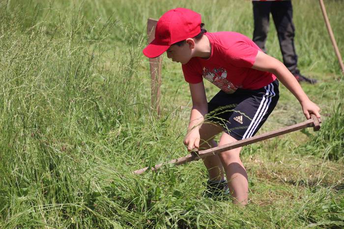 Erabaki dira Euskal Herriko  81 1532871185211