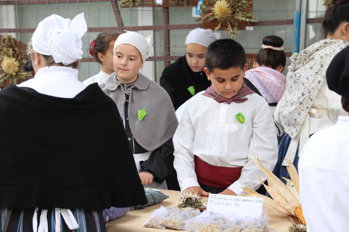 Auzolanaren fruitu, azoka 31 1541960956441