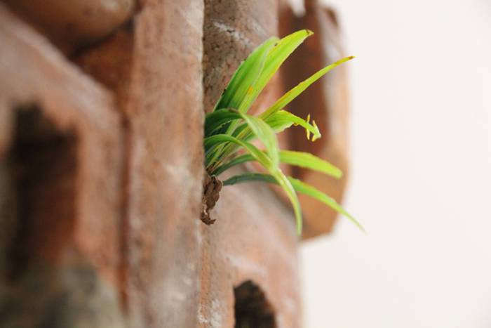 Maroko, emakumea eta artea,  16 1498208833665