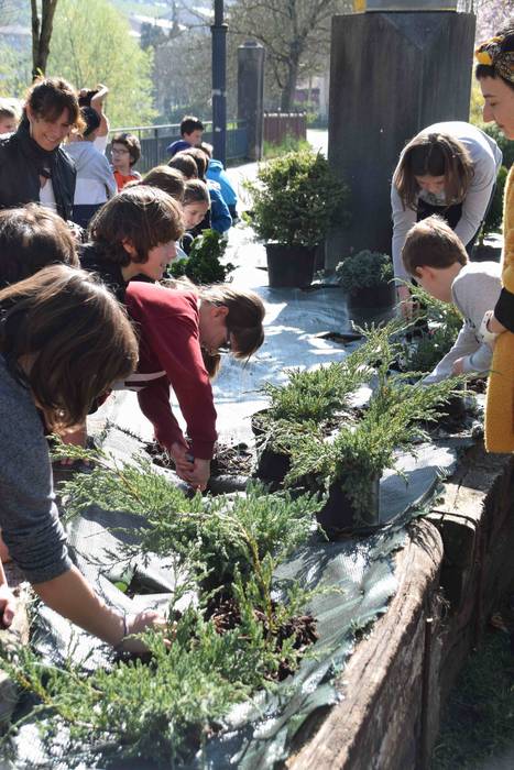 Zuhaitz Eguna ospatzen ari d 13 1553854252618