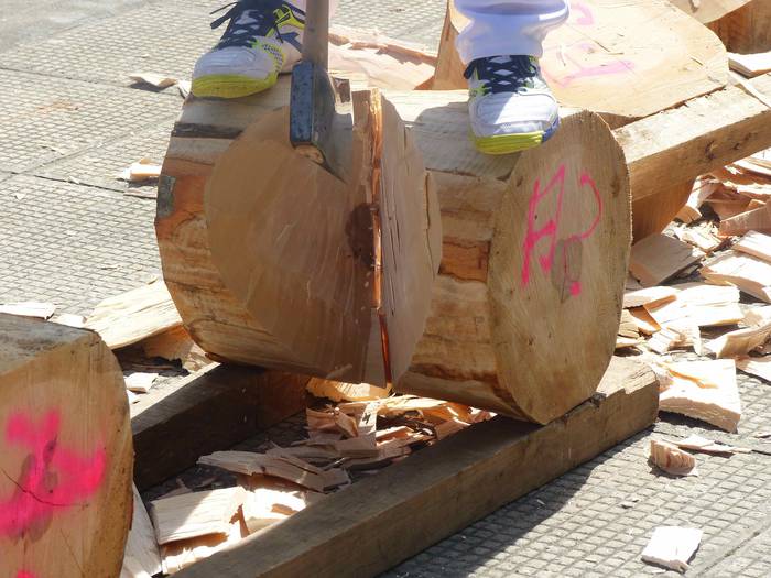 Kultura edo kirola, guztiak  114 1535470098829