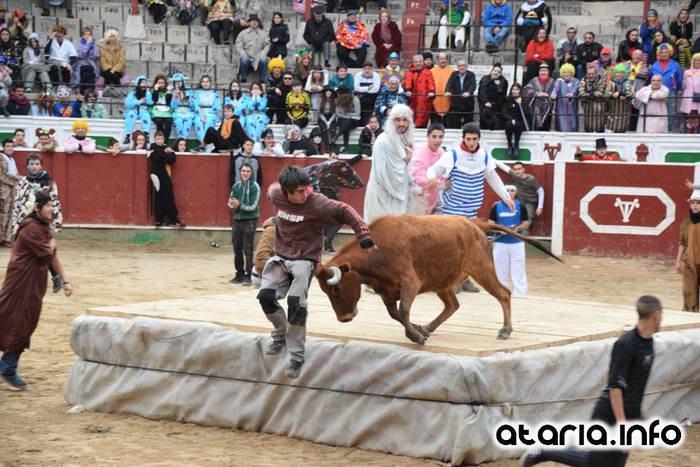 Pattar zezena 2016 64 1455012407592