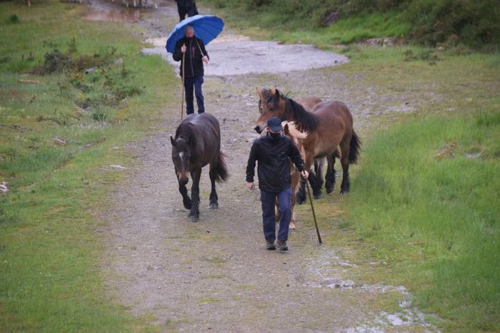 Larre irekiera Berastegi 202 5 1621072164818