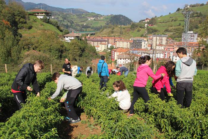 Piperraren zikloa 2015 18 1445442218114