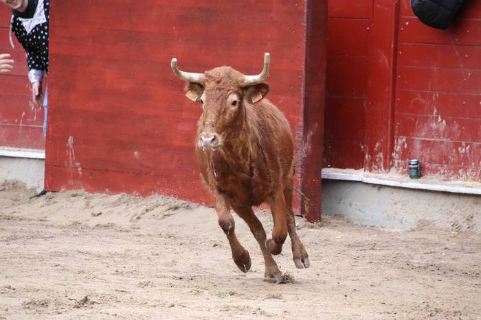 Itzuli dira plazara 44 1645726403923