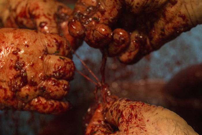 Elikaduratik, kulturatik hai 27 1510577184769