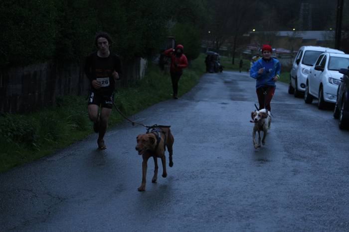 Zizurkil, txakur krosa 50 1490474090009