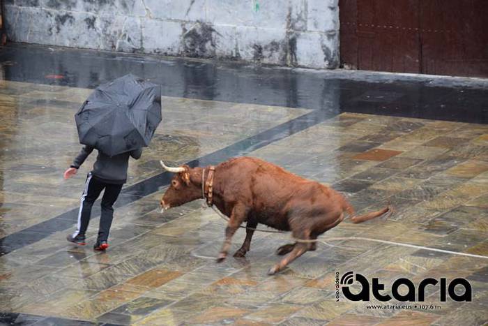 Inauteriak 2018, sokamuturra 38 1518438014848