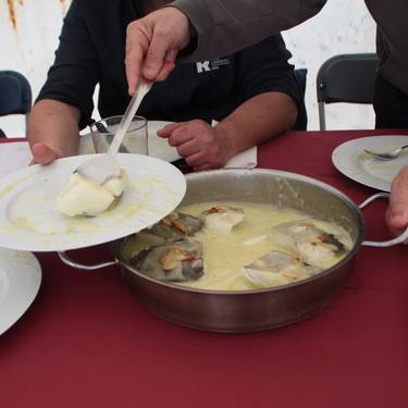 Berazubi Gastronomika