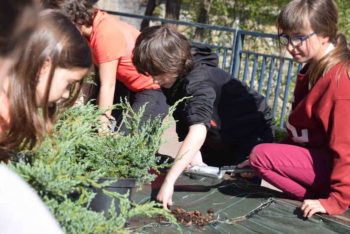 Zuhaitz Eguna ospatzen ari d 5 1553854231089