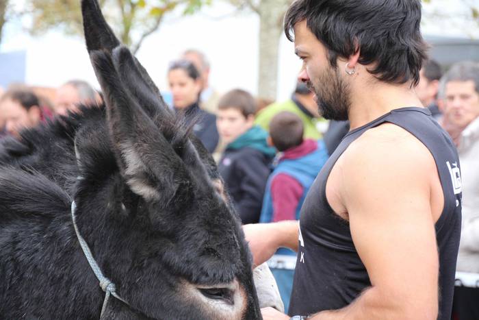 Idiek irabazi diete astoei A 25 1541962275154