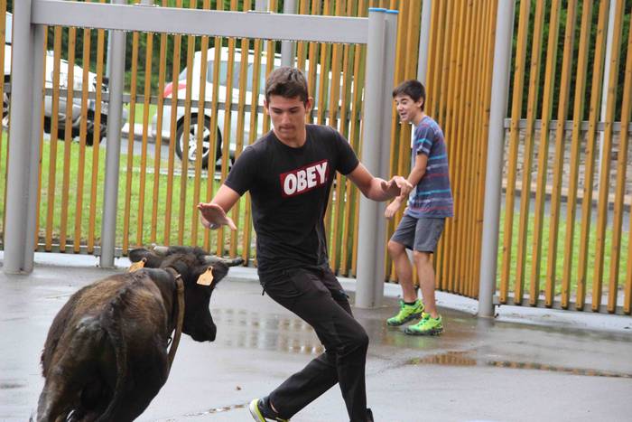 hernialde festak puzgarriak  47 1534160697131