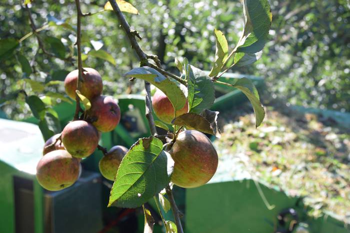 Makina, sagarrak biltzeko 8 1506683753836