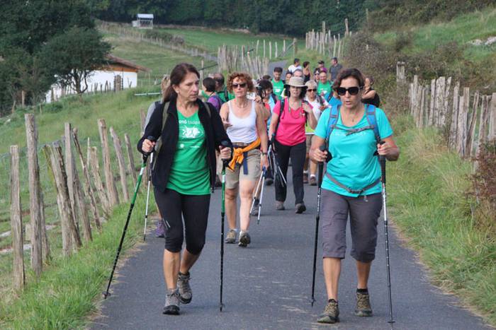 2016 bidea 38 1471776020909