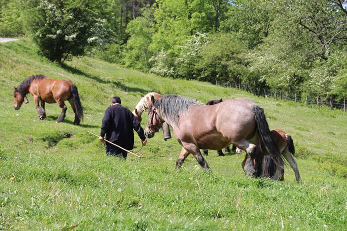 Larre irekiera Larraitzen 20 73 1493640105250