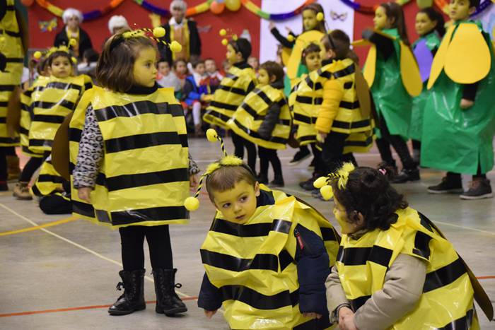 Irura, inauteriak 2018 26 1517997884064