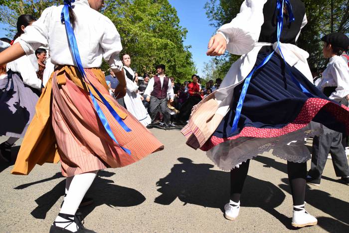 Larrerati dituzte abereak Ar 18 1556716265760