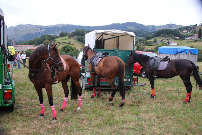 Zaldiak lasterka, gazteak desafioan 3 1472406478178