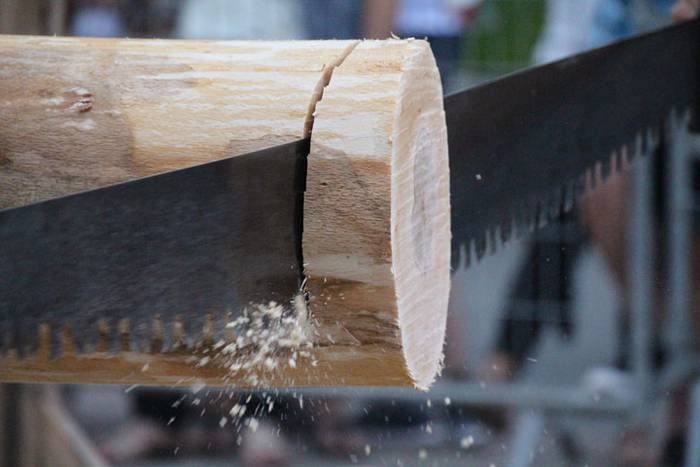 Bizilagunen norgehiagoka ikusgarria 55 1471335899470