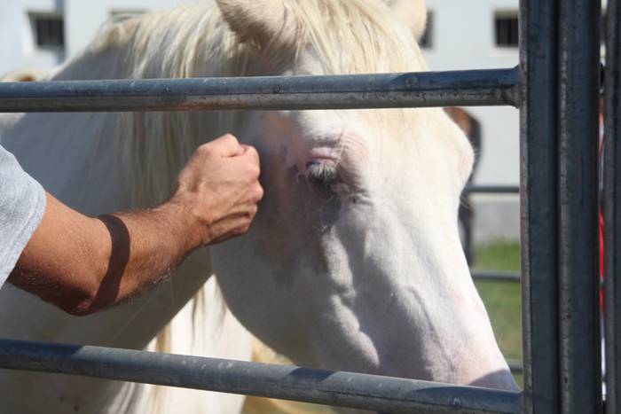 Berezia eta jendetsua 69 1506256847817