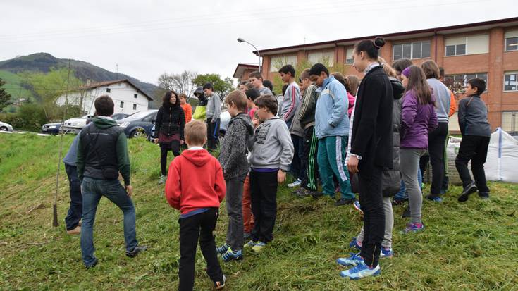 Ibarrako haurrak, zuhaitzen landaketa prozesua gertutik ezagutzen