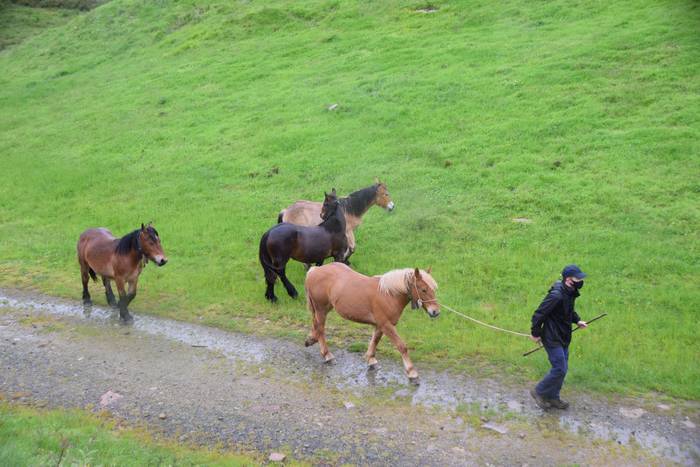 Larre irekiera Berastegi 202 9 1621072169813