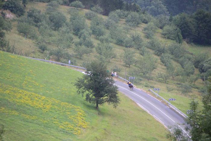 Zaldi gainean lasterka Abalt 7 1498413060522