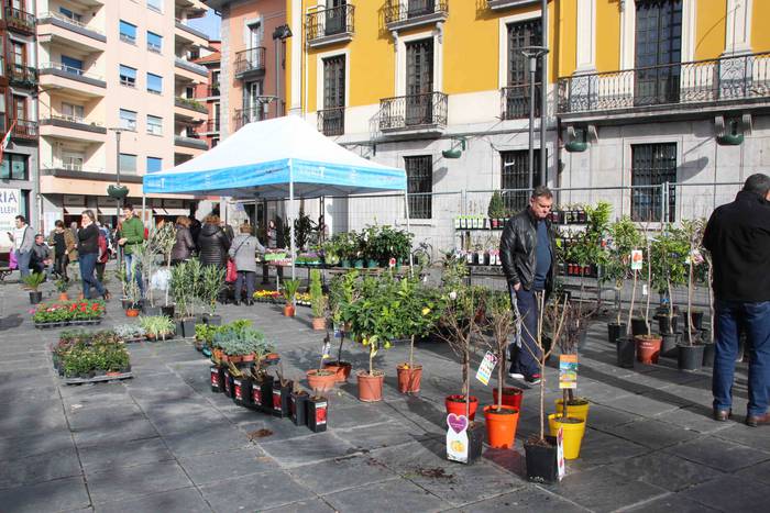 Tolosako Lore eta Landare Az 8 1549717196843