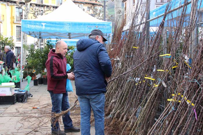 Tolosako Lore eta Landare Az 5 1549717195626