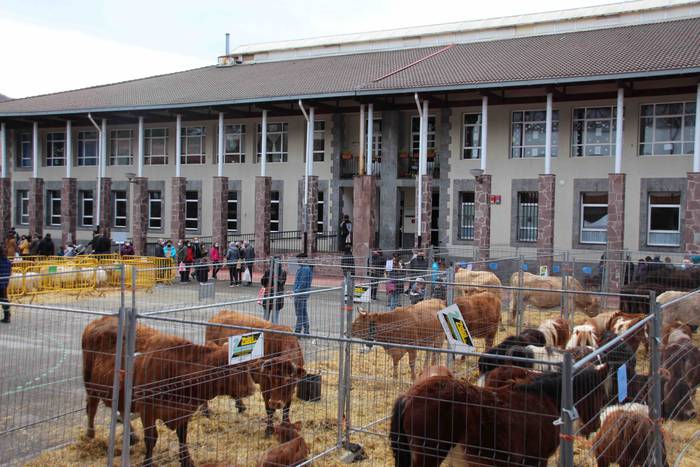 Berastegiko gaztarik onena A 6 1608397897358