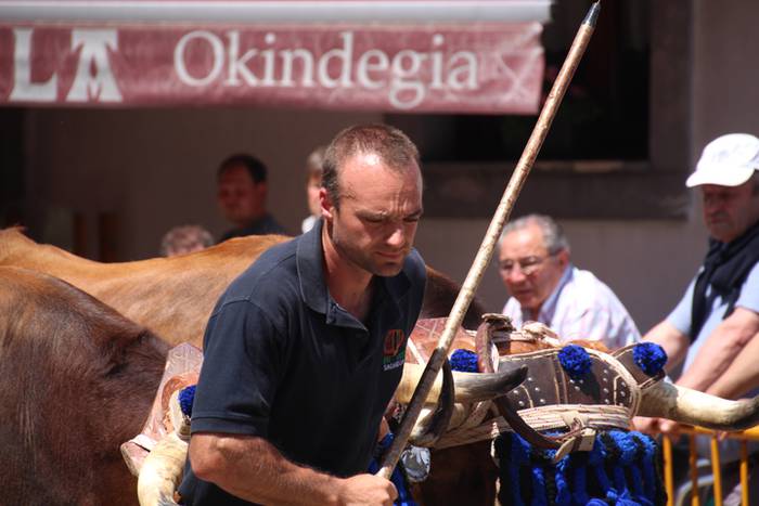 Idi erakustaldia Asteasuko p 13 1494859864308