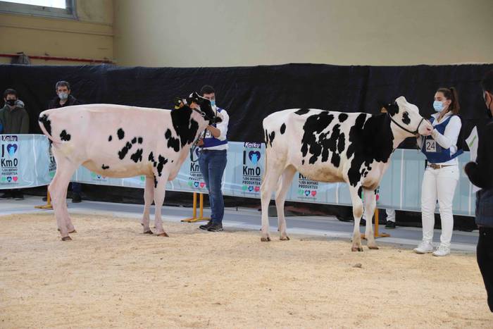 XII. Euskal Herriko Frisoi T 7 1637418665371