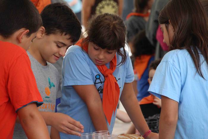 Zizurkilen, irudimena eta da 2 1536231934470