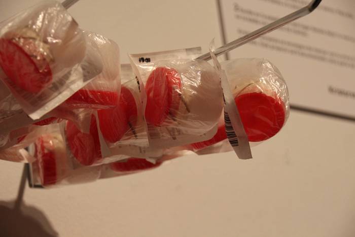 zama kalea ahalduntzegune aurrez aurre 12 1458065646084