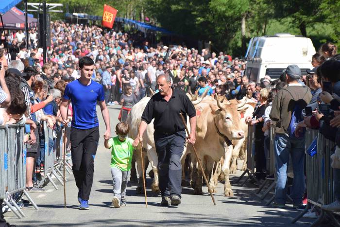 Larrerati dituzte abereak Ar 38 1556716302695