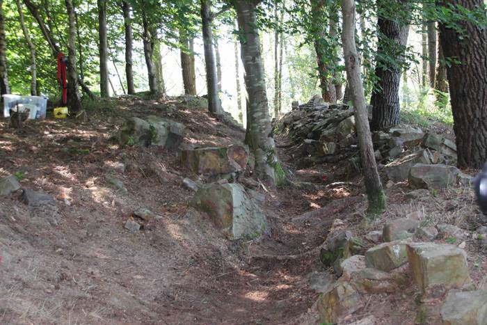 Gerra 24 1562842946559