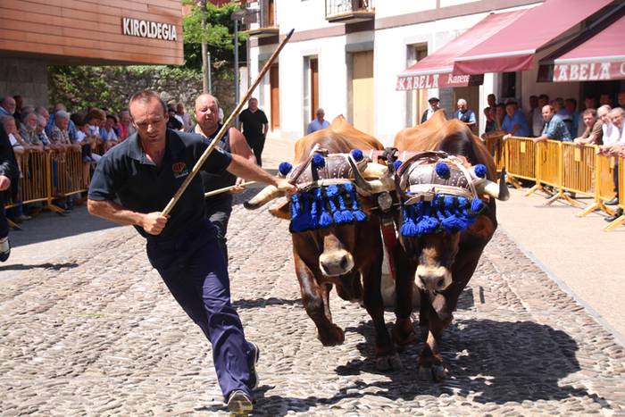 Idi erakustaldia Asteasuko p 19 1494859899500