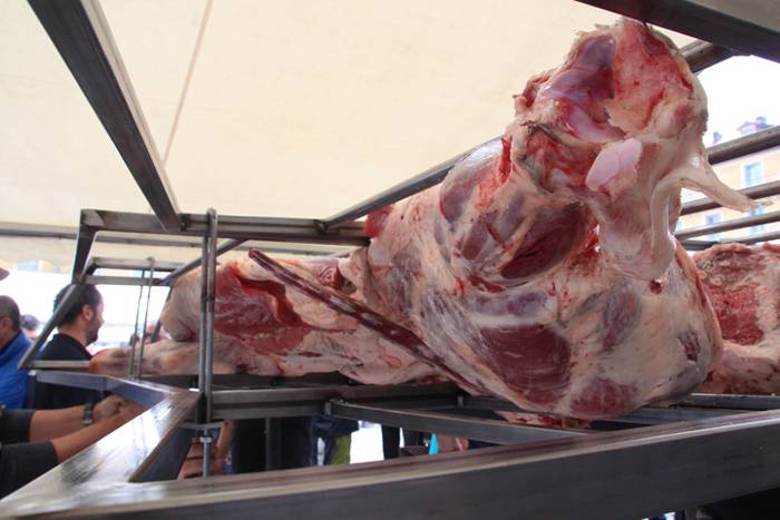 Haragia eta txingarra protag 46 1524932857531