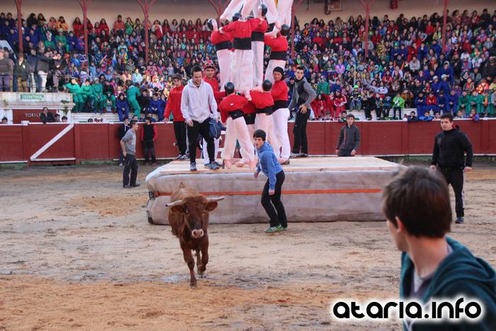 ostegun gizena 2016 zezen plaza 97 1454608291663