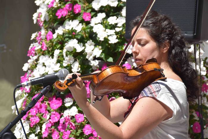 Zerbitzu publikoen aldeko mo 53 1593258002909